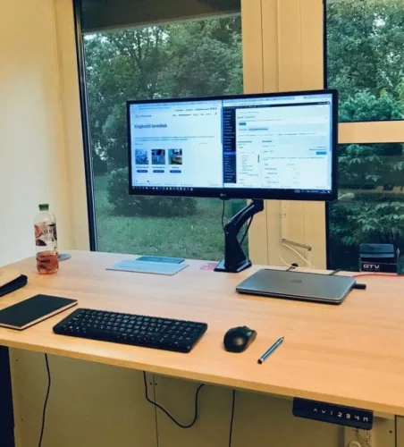 BeActive Monitor Arm-73cm-Fekete